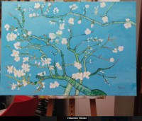 /album/anno-2017/a96cattura-jpg/